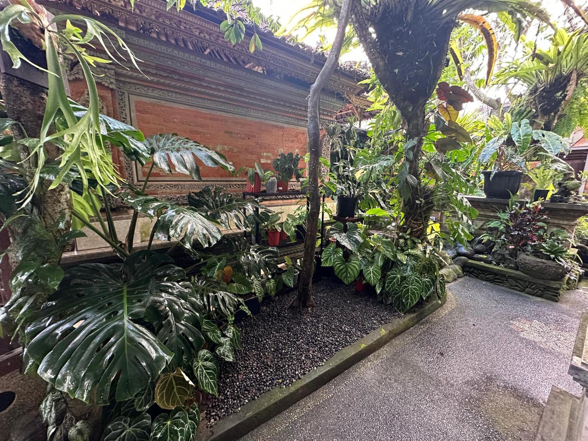 Naeera Guest House Ubud Dış mekan fotoğraf