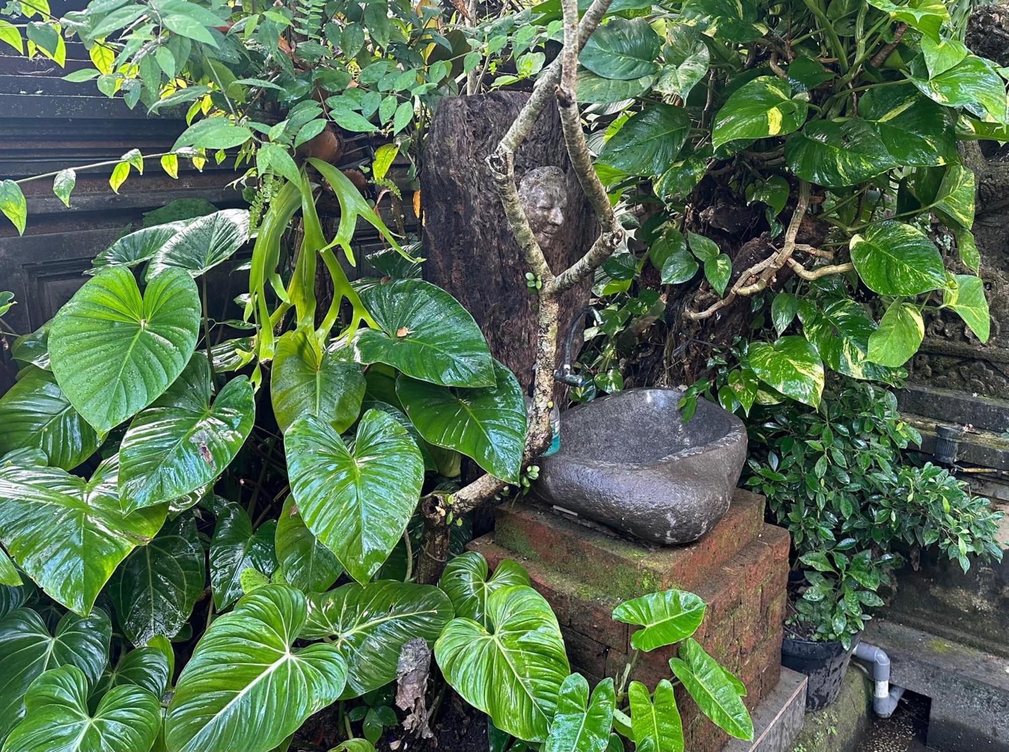 Naeera Guest House Ubud Dış mekan fotoğraf