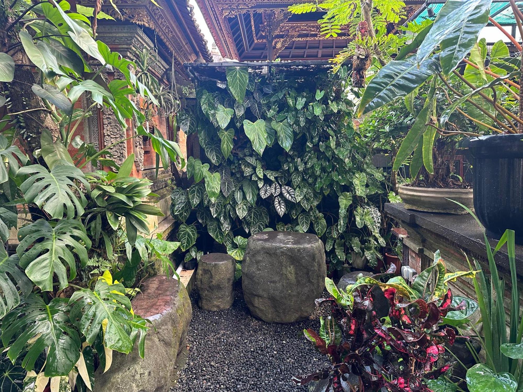 Naeera Guest House Ubud Dış mekan fotoğraf