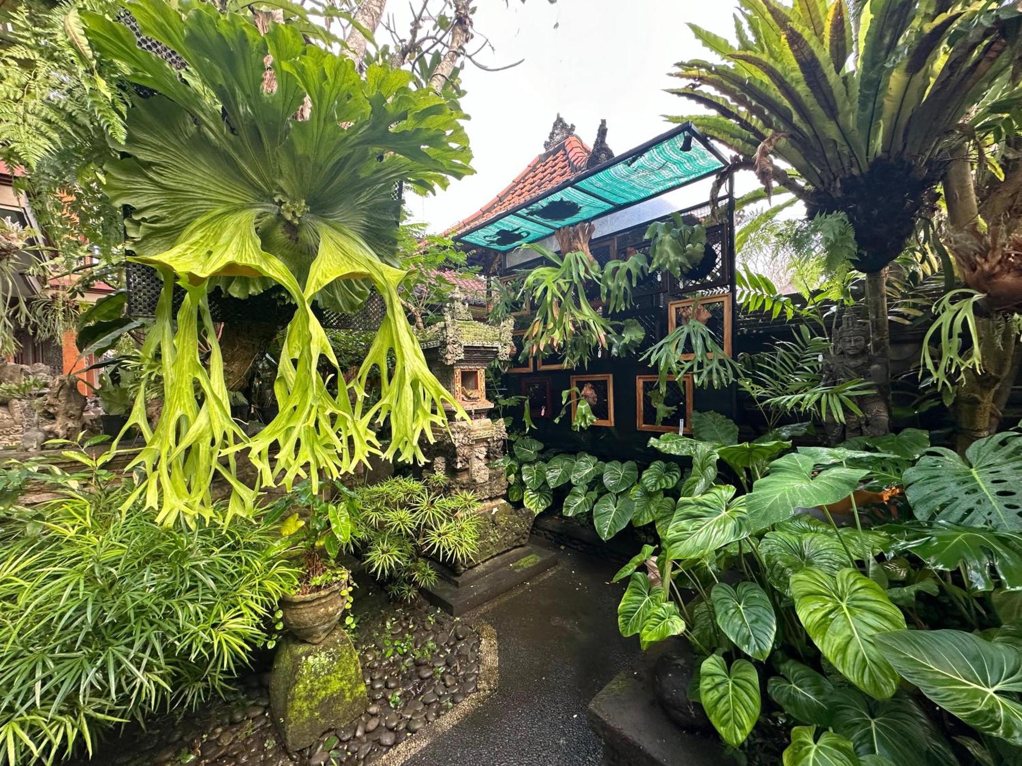Naeera Guest House Ubud Dış mekan fotoğraf